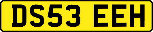 DS53EEH