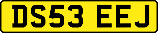 DS53EEJ