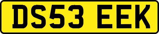 DS53EEK