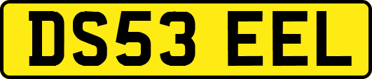 DS53EEL