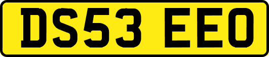 DS53EEO