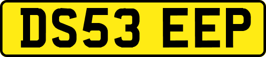 DS53EEP