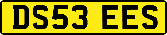 DS53EES