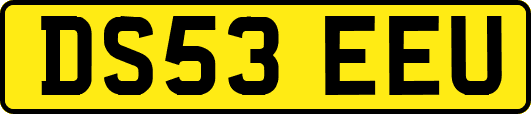 DS53EEU