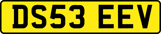 DS53EEV