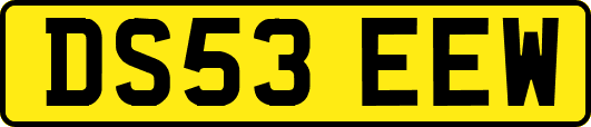 DS53EEW