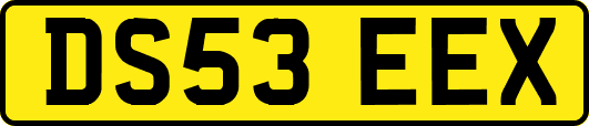 DS53EEX