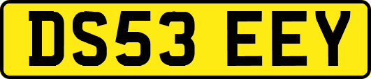 DS53EEY