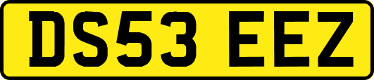 DS53EEZ
