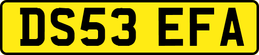 DS53EFA