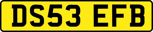 DS53EFB