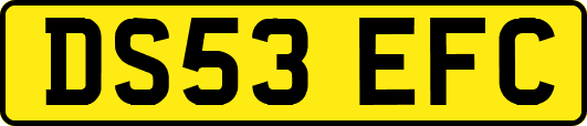 DS53EFC