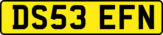 DS53EFN
