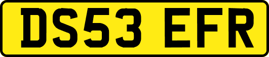DS53EFR