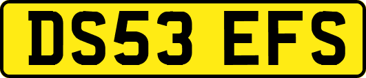 DS53EFS