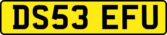 DS53EFU