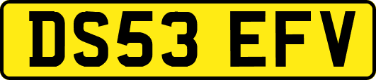 DS53EFV