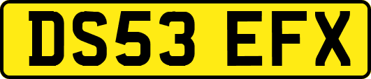 DS53EFX
