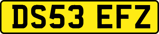 DS53EFZ
