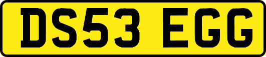 DS53EGG