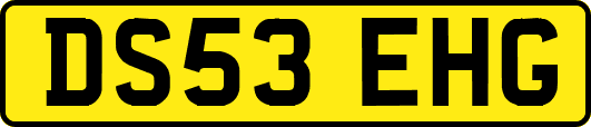 DS53EHG