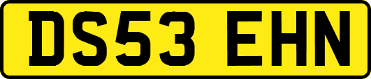DS53EHN
