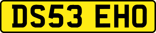 DS53EHO