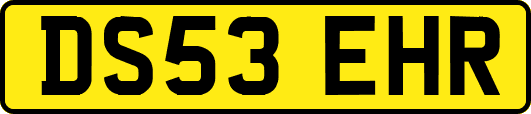 DS53EHR