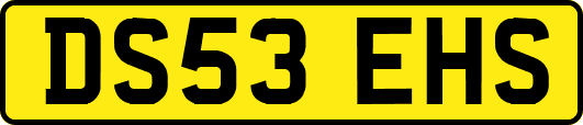 DS53EHS
