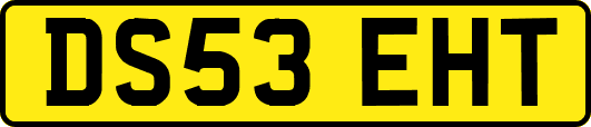 DS53EHT