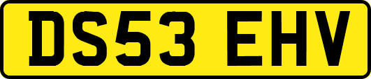 DS53EHV