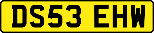 DS53EHW