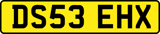 DS53EHX