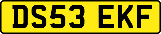 DS53EKF