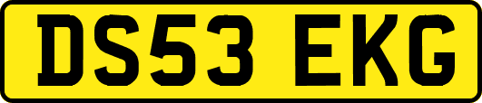 DS53EKG