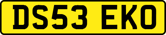 DS53EKO