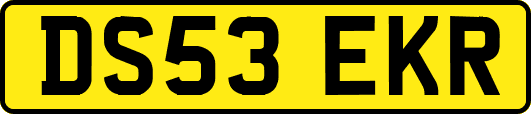 DS53EKR