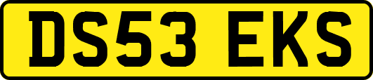 DS53EKS