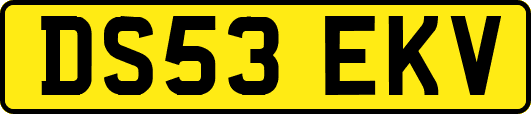 DS53EKV
