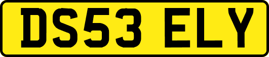 DS53ELY
