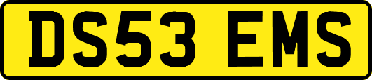 DS53EMS