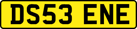 DS53ENE