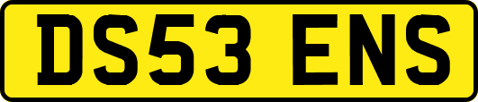 DS53ENS