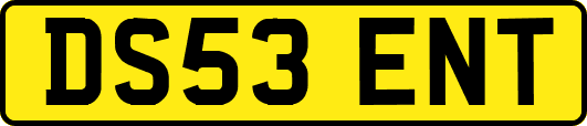 DS53ENT