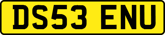 DS53ENU