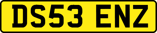 DS53ENZ