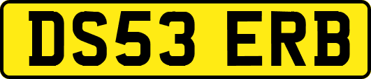 DS53ERB