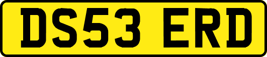 DS53ERD