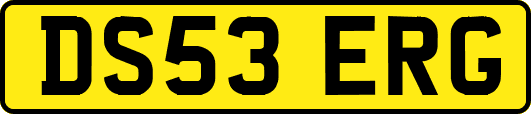 DS53ERG