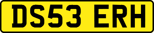 DS53ERH